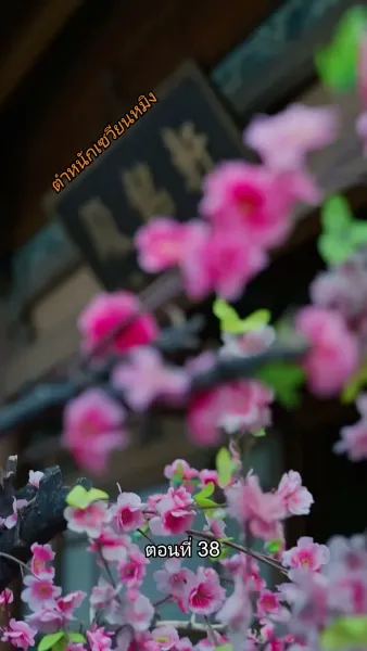 หมอหญิงยอดชายา