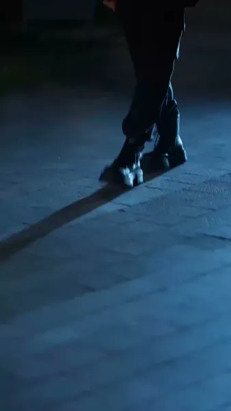 ลวงรักปาปารัสซี 