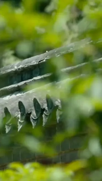 ท่านพ่อของเรากลายเป็นอ๋องไปเสียแล้ว