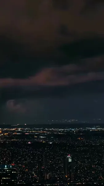 แผนลวงบ่วงรักมาเฟีย