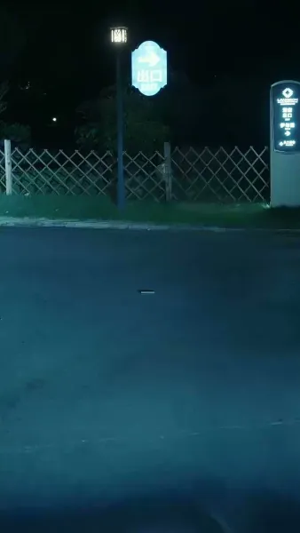 แผนลวงบ่วงรักมาเฟีย