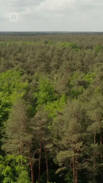 หัวใจที่ต้องจ่าย