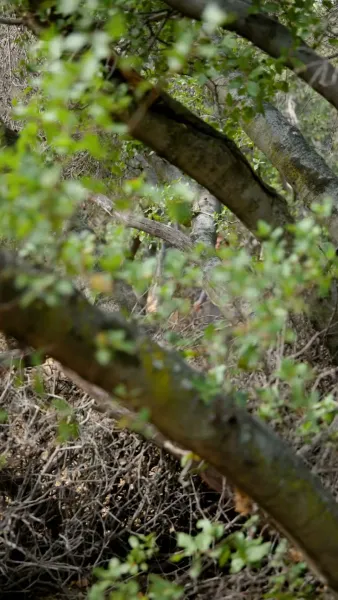 หัวใจที่ต้องจ่าย