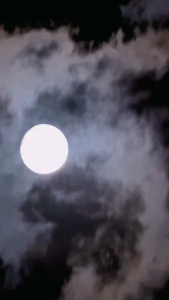 ฝันซิงลงไปในอ้อมแขนผม