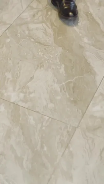 เด็กสาวในเงาแสง