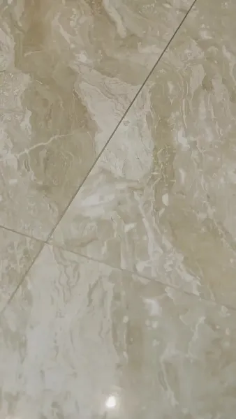 เด็กสาวในเงาแสง