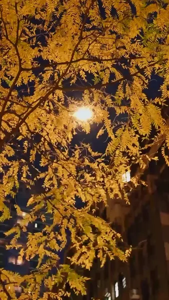 พรหมลิขิตที่ได้เจอ