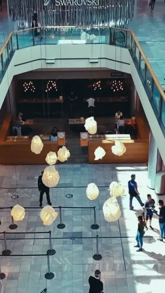 เหตุผลที่ผิดทั้งหมด