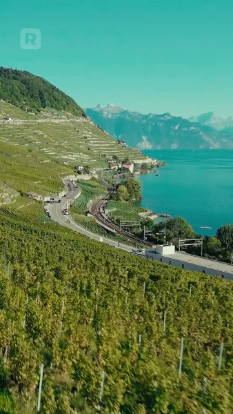 เหตุผลที่ผิดทั้งหมด