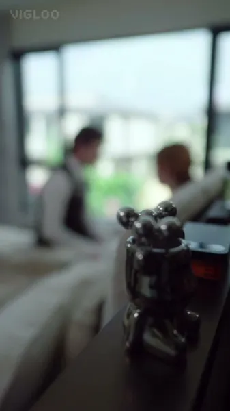 เจ้าสาวผู้มีอดีตลับ