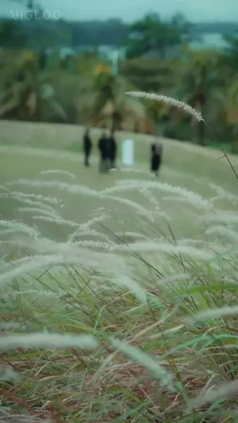 เจ้าสาวผู้มีอดีตลับ