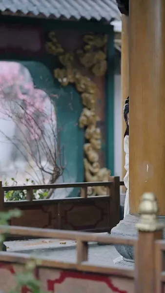 ลิขิตฝัน