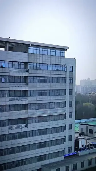 The Underdog's Triumph