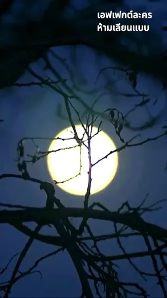 ข้ามกาลมารักษ์: สัญญารักองค์ชายา