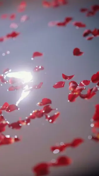 หน้ากากรัก กับองค์ชาย(พากย์เสียง)