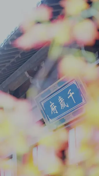 หน้ากากรัก กับองค์ชาย(พากย์เสียง)