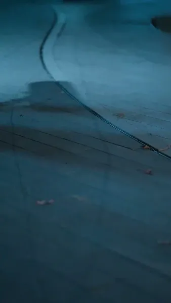 ฉันนี่แหละคือทายาทมหาเศรษฐี