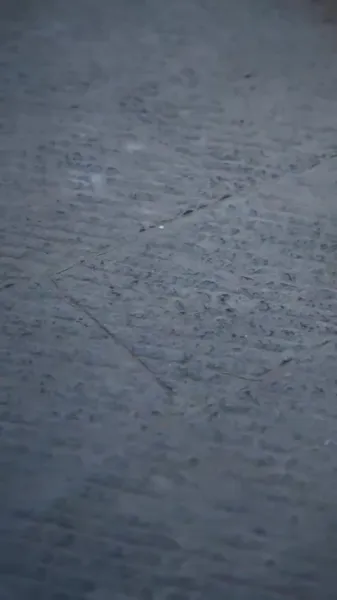 ลานในวังฟีนิกซ์ ปิดกั้นฤดูใบไม้ร่วงอันลึกล้ำ