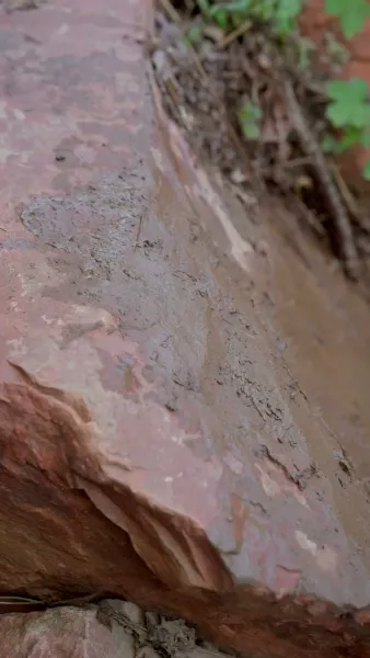 ฟื้นคืนจากเหว