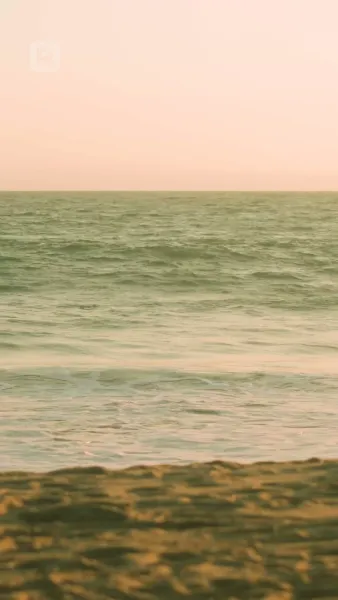 ภรรยาตามสัญญาของซีอีโอ