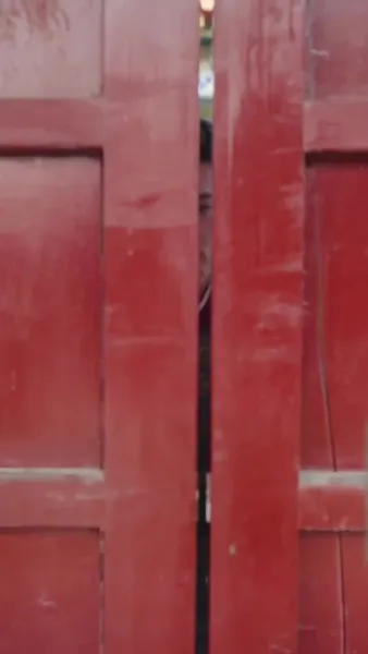 ฟื้นคืนเพื่อล้างแค้น