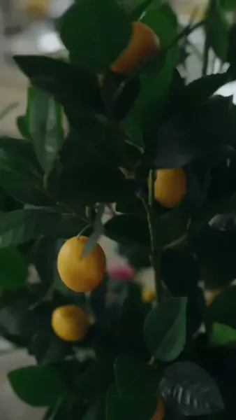 ลูก พ่อไม่อยากดิ้นรนแล้ว