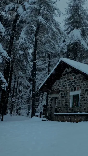 ปีกเพลิง อดีตคนรักนักล่ามังกร