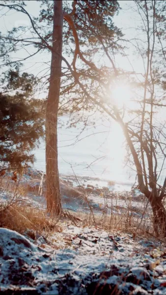 ปีกเพลิง อดีตคนรักนักล่ามังกร