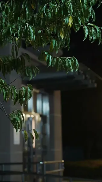 กามเทพแฝดป่วนรัก 