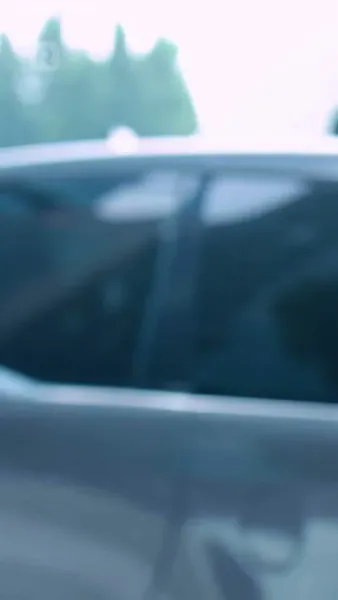 ภรรยาเชือดหมูของมหาเศรษฐี