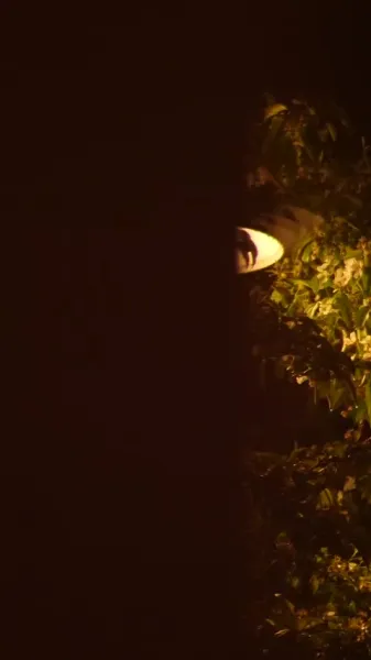 รักต้องห้ามของมหาเศรษฐี