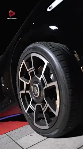 เจ้าสาวสายฟ้าแลบของนายซีอีโอ