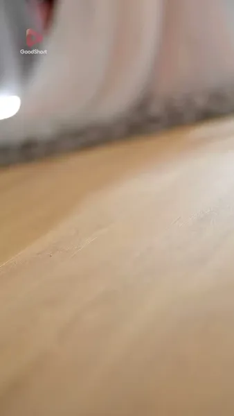 เจ้าสาวสายฟ้าแลบของนายซีอีโอ