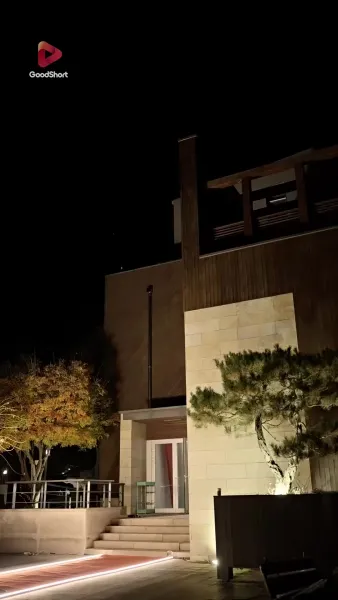 เจ้าสาวสายฟ้าแลบของนายซีอีโอ