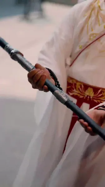 ดาบลับในโลกวิปลาส