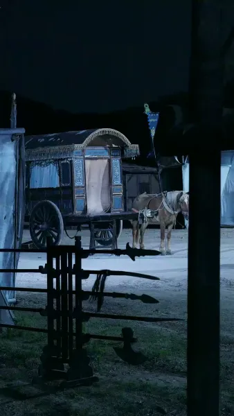 นางบำเรอในเงาโศก