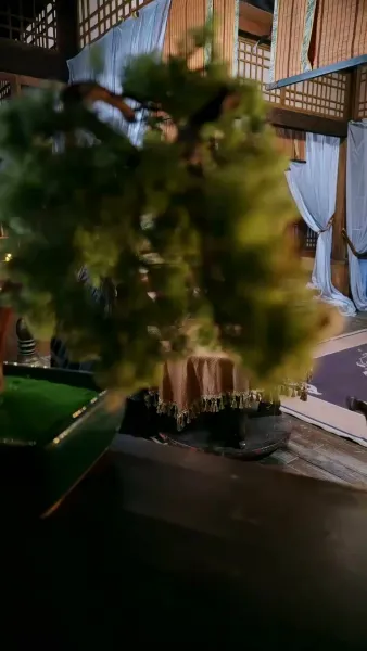 นางบำเรอในเงาโศก