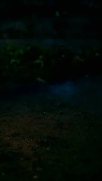 นางบำเรอในเงาโศก