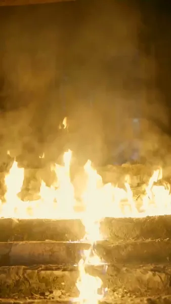 นางบำเรอในเงาโศก