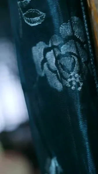 นางบำเรอในเงาโศก