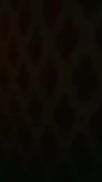 นางบำเรอในเงาโศก