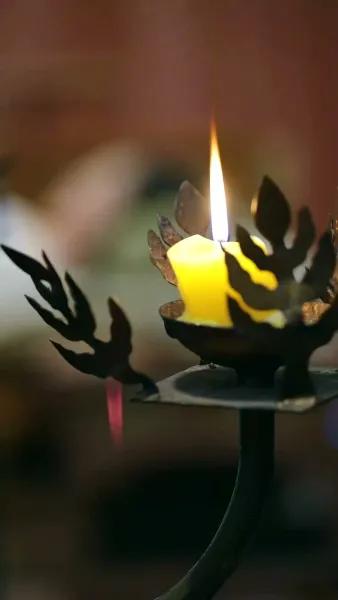 นางบำเรอในเงาโศก