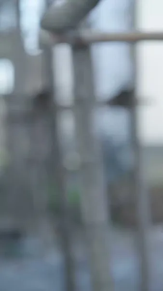 กตัญญูเหนือสายเลือด