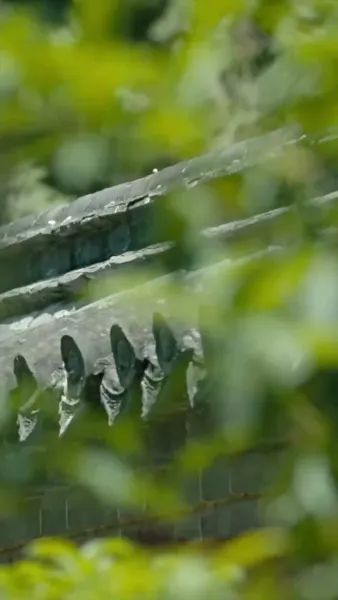  [พากย์ไทย] ท่านพ่อกลายเป็นท่านอ๋อง แม่จ๋าท่านอย่าเพิ่งสลบ