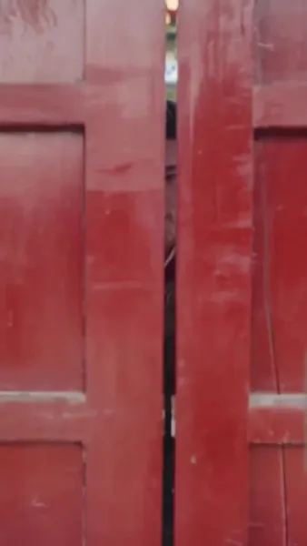 (พากย์เสียง)ฟื้นคืนเพื่อล้างแค้น