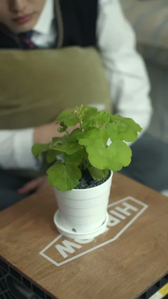 ไฟท์รัก ซัมเมอร์