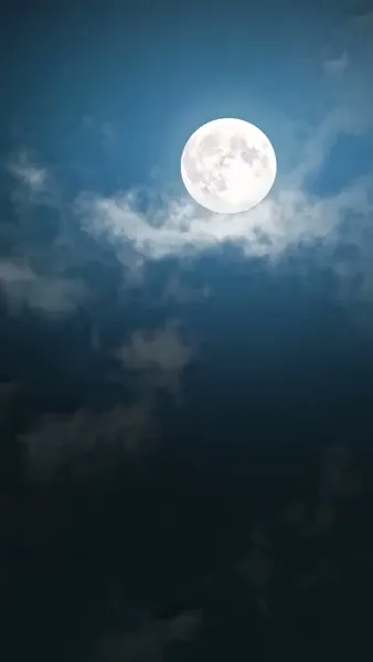 ชาตินี้ขอไม่ง้อผู้ชายสารเลว