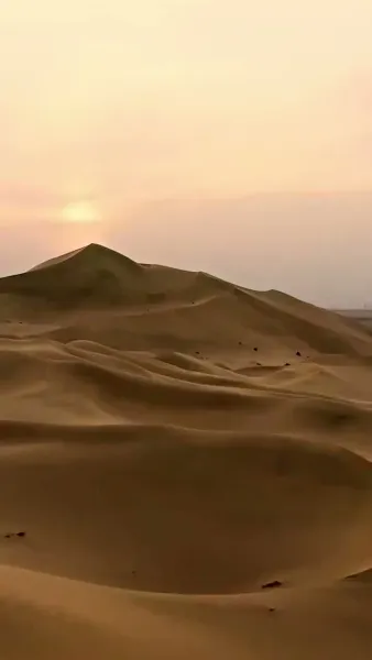 ชาตินี้ขอไม่ง้อผู้ชายสารเลว