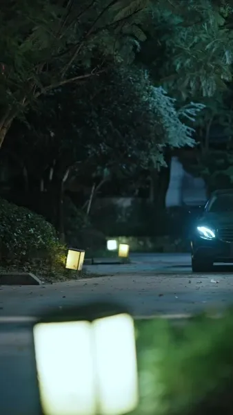 รักสายฟ้าแลบของสองพี่น้อง