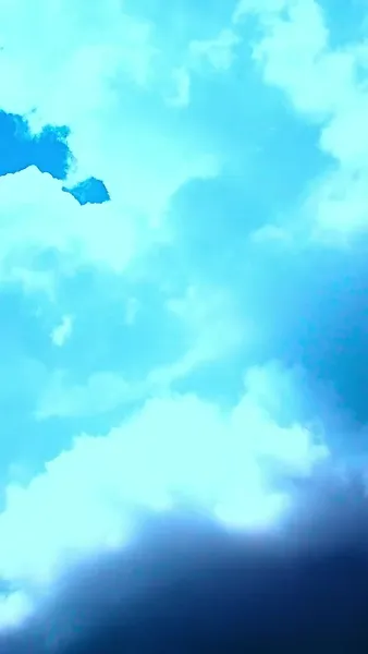 รักสายฟ้าแลบของสองพี่น้อง